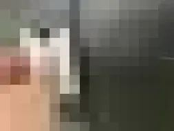 Dommages constatés