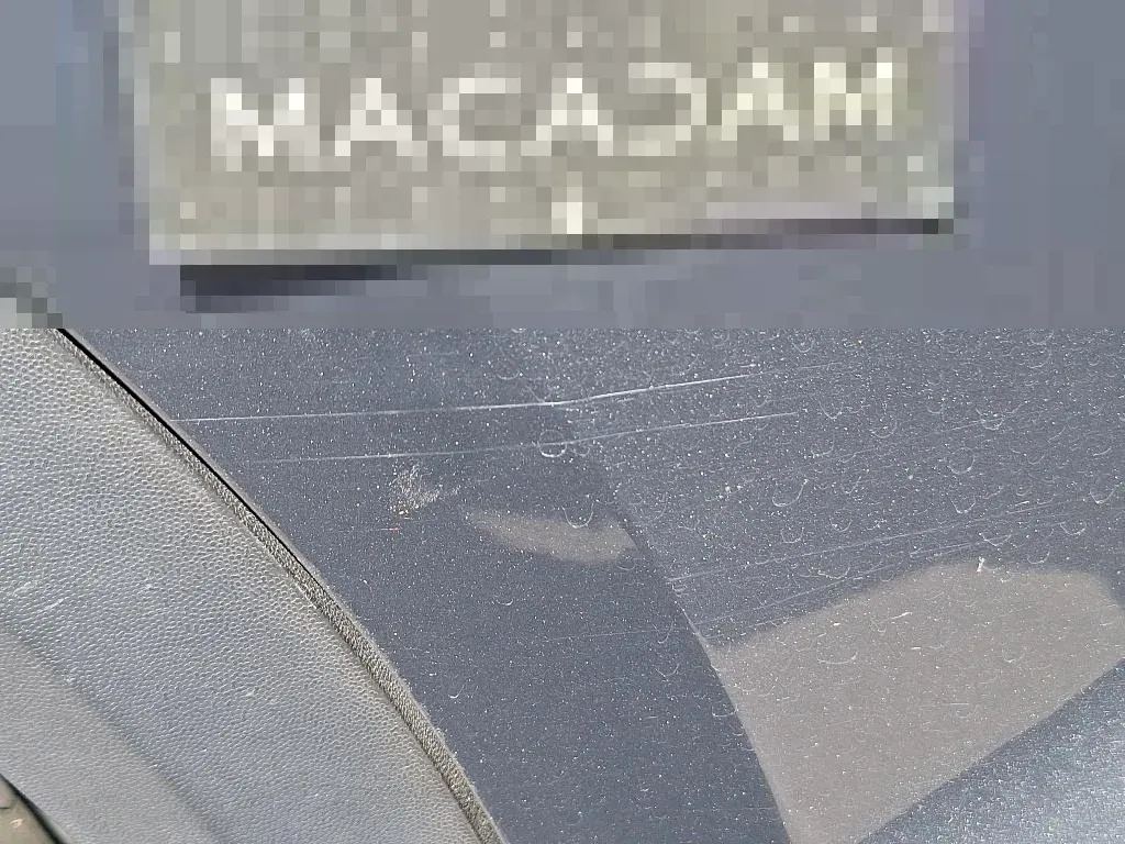 Vastgestelde schade