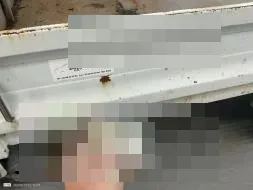 Reported damage
