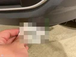 Reported damage
