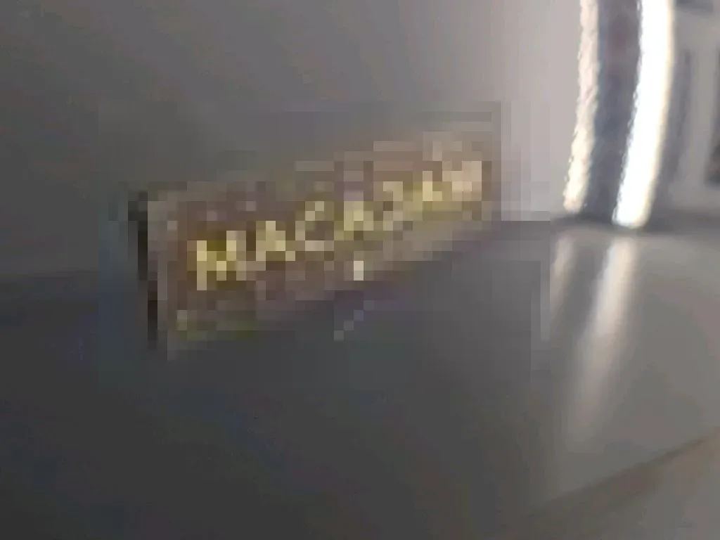 Vastgestelde schade