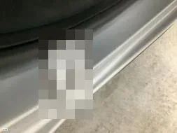 Reported damage