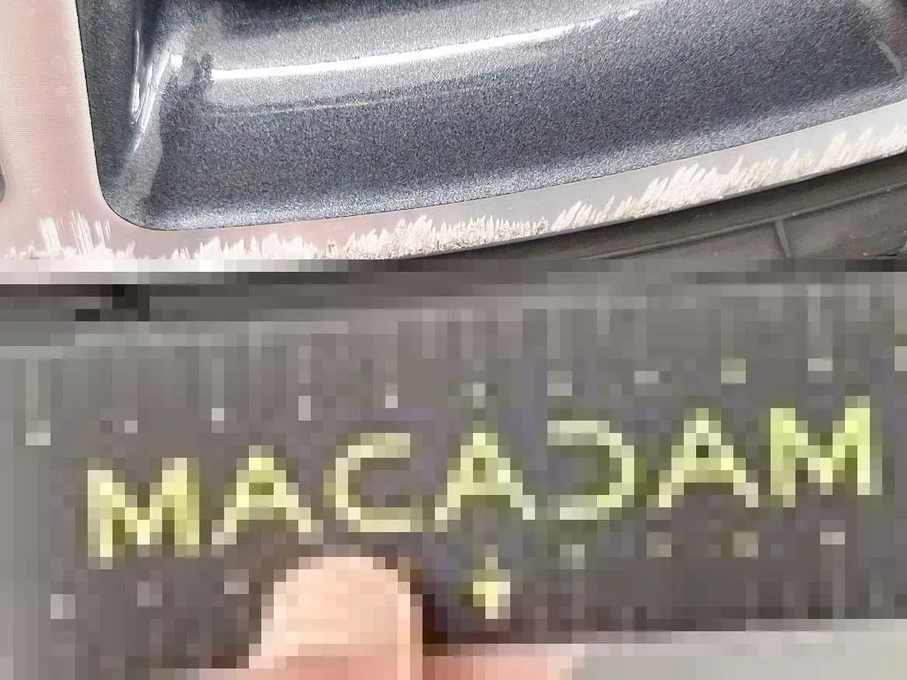 Vastgestelde schade