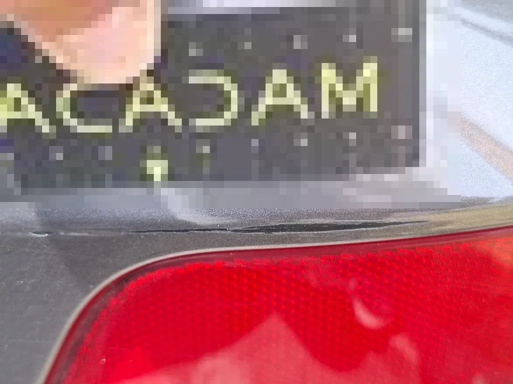Vastgestelde schade