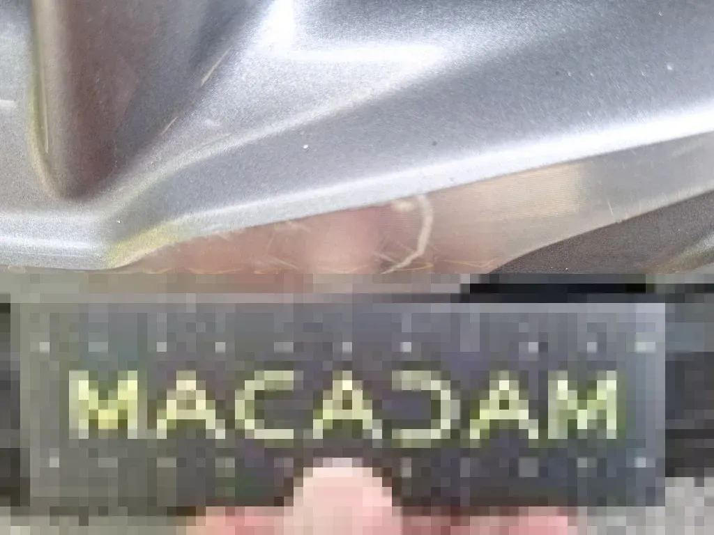 Vastgestelde schade