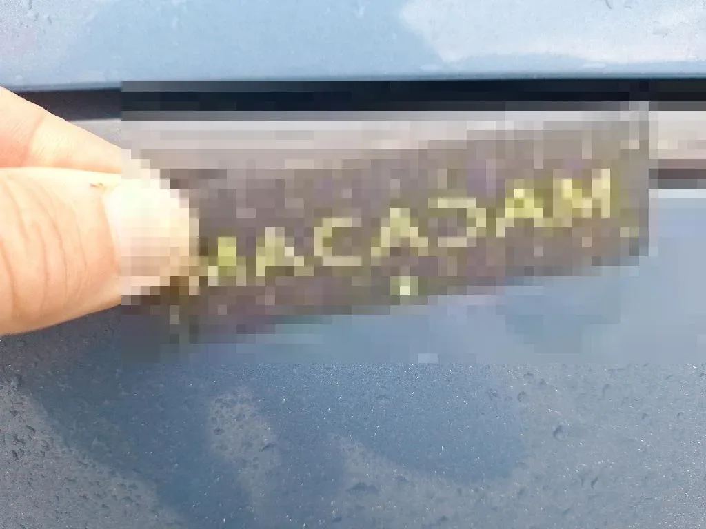 Vastgestelde schade