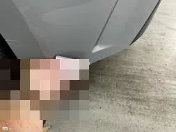 Reported damage