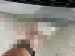 Reported damage