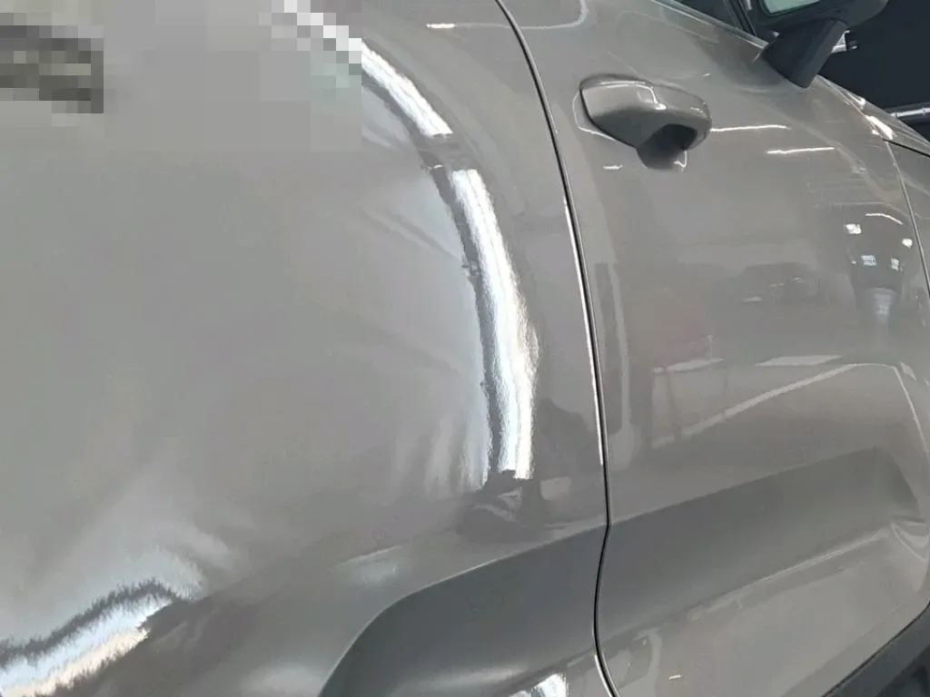 Vastgestelde schade
