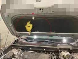 Reported damage