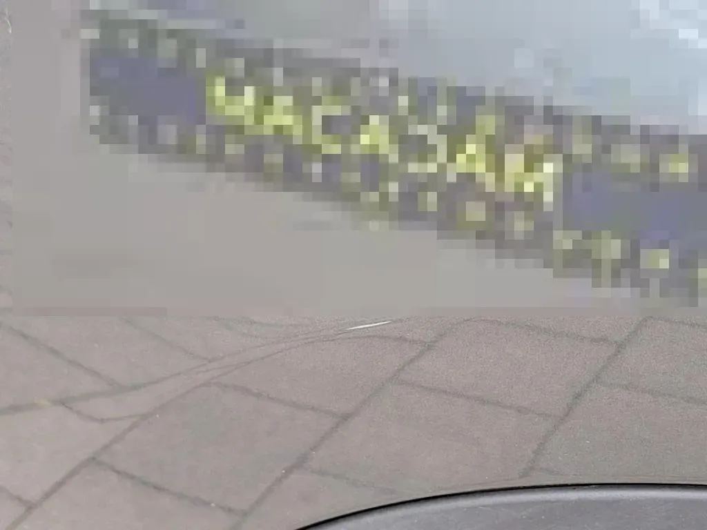 Vastgestelde schade