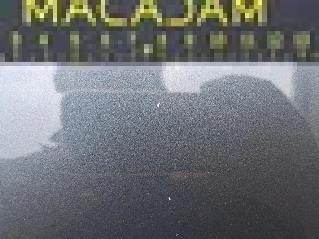 Vastgestelde schade