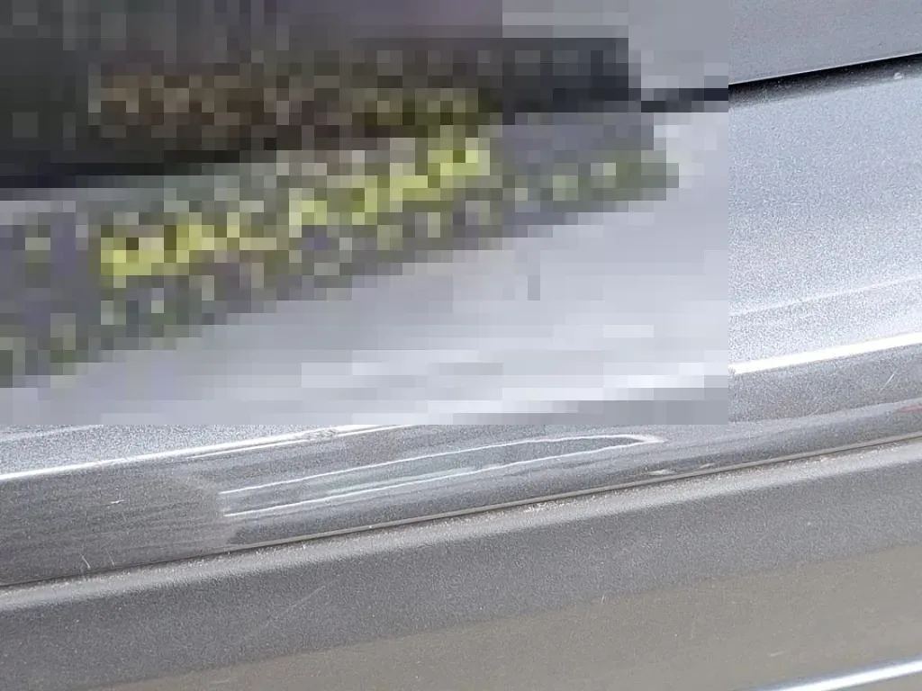 Vastgestelde schade