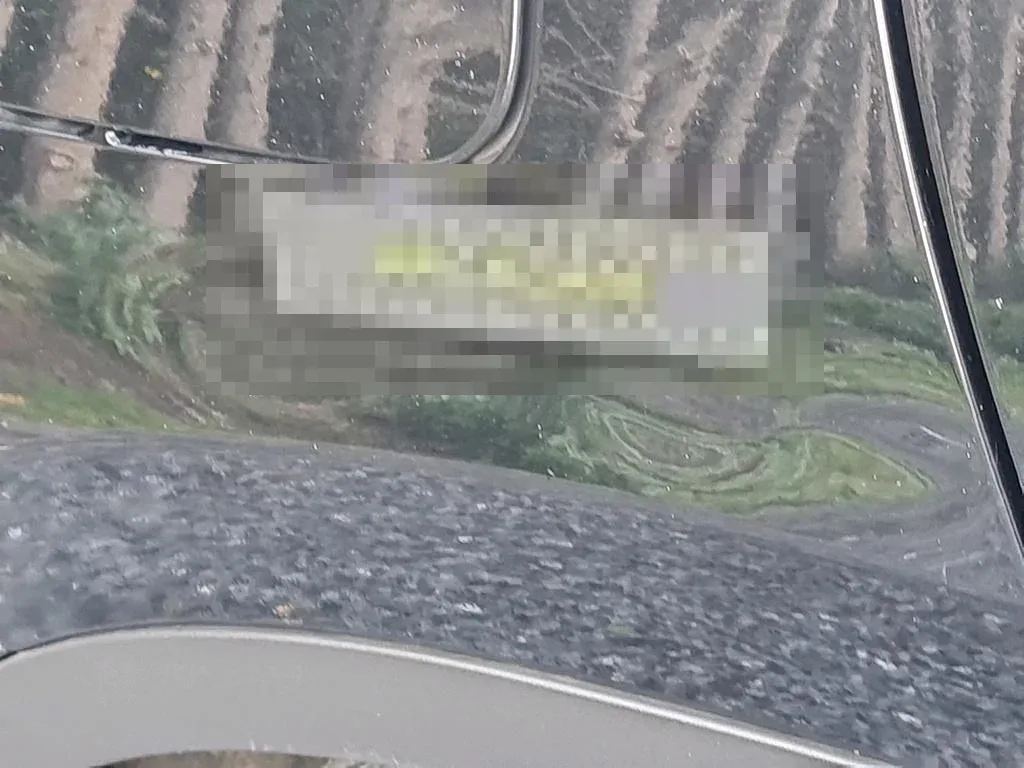 Vastgestelde schade