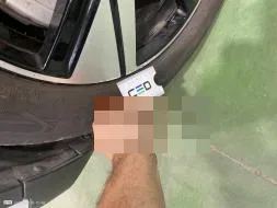 Dommages constatés