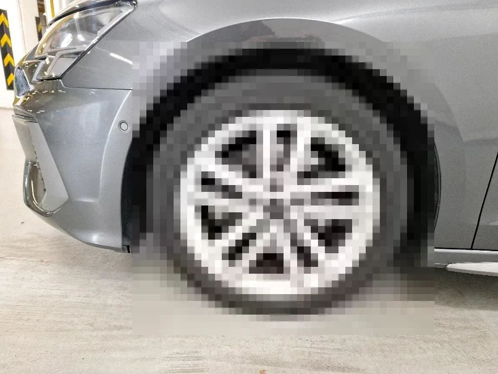 Vastgestelde schade