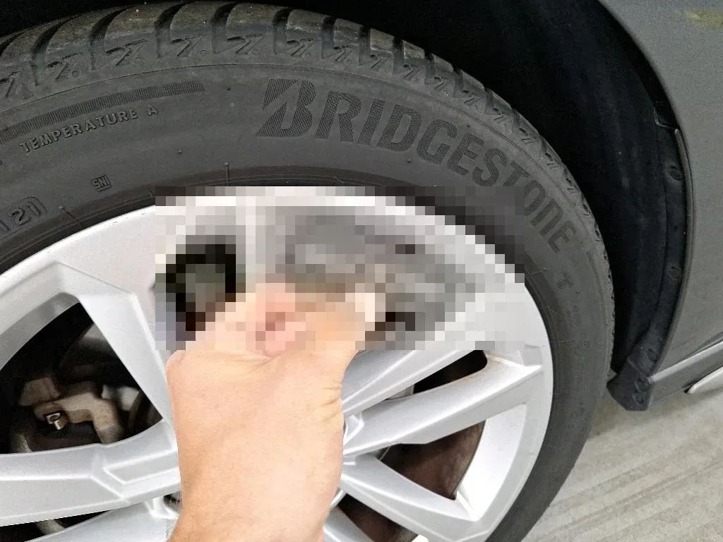 Vastgestelde schade
