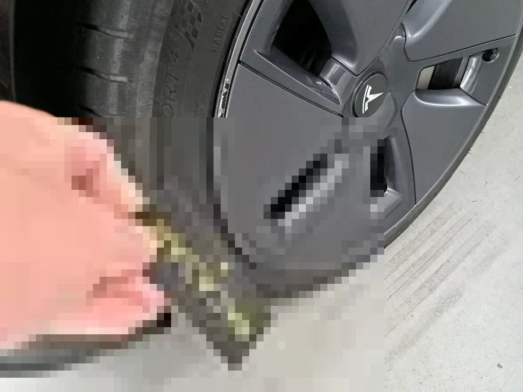 Vastgestelde schade