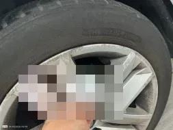 Reported damage