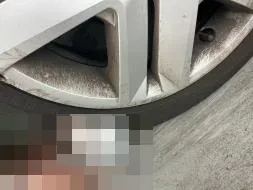 Reported damage