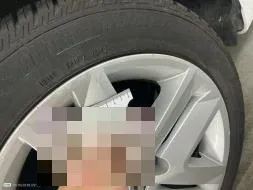 Reported damage