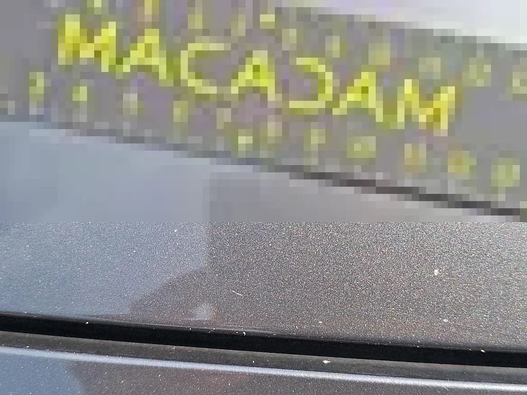 Vastgestelde schade