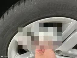 Reported damage