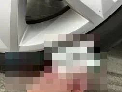 Reported damage