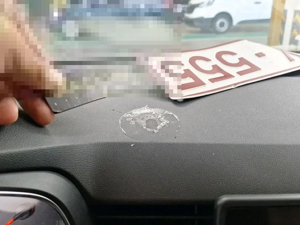Vastgestelde schade