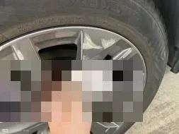 Vastgestelde schade