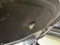 Reported damage