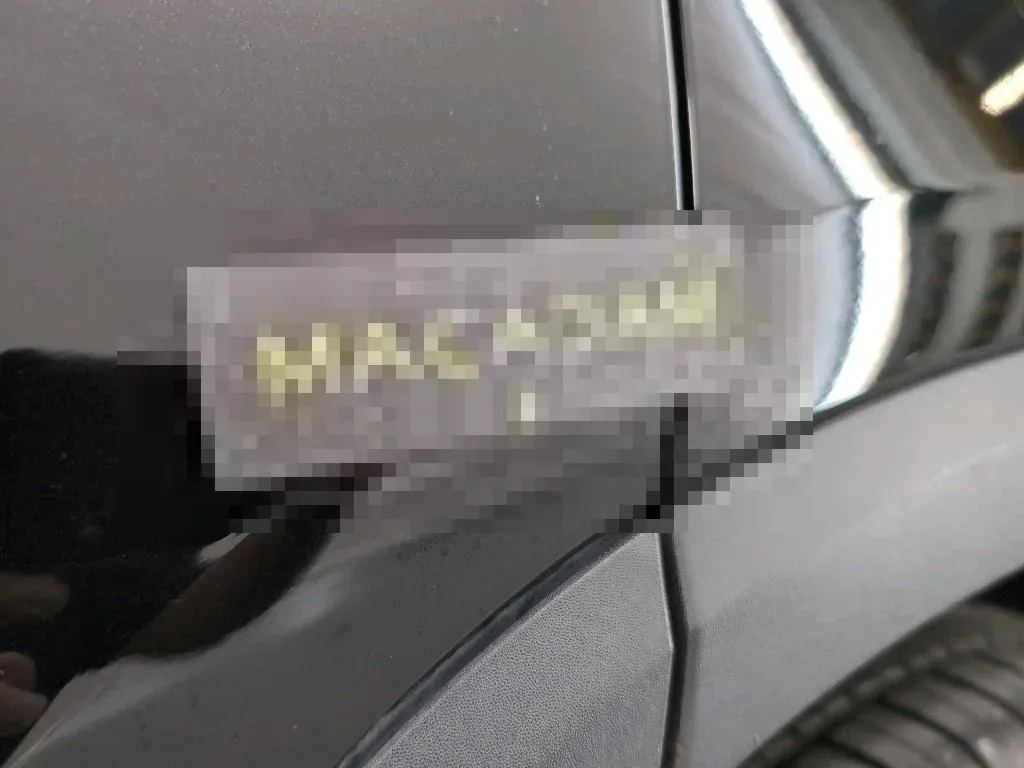 Vastgestelde schade