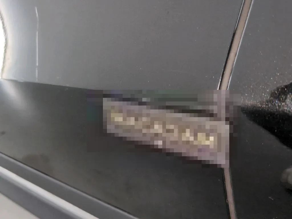 Vastgestelde schade