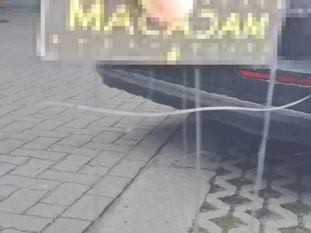 Vastgestelde schade