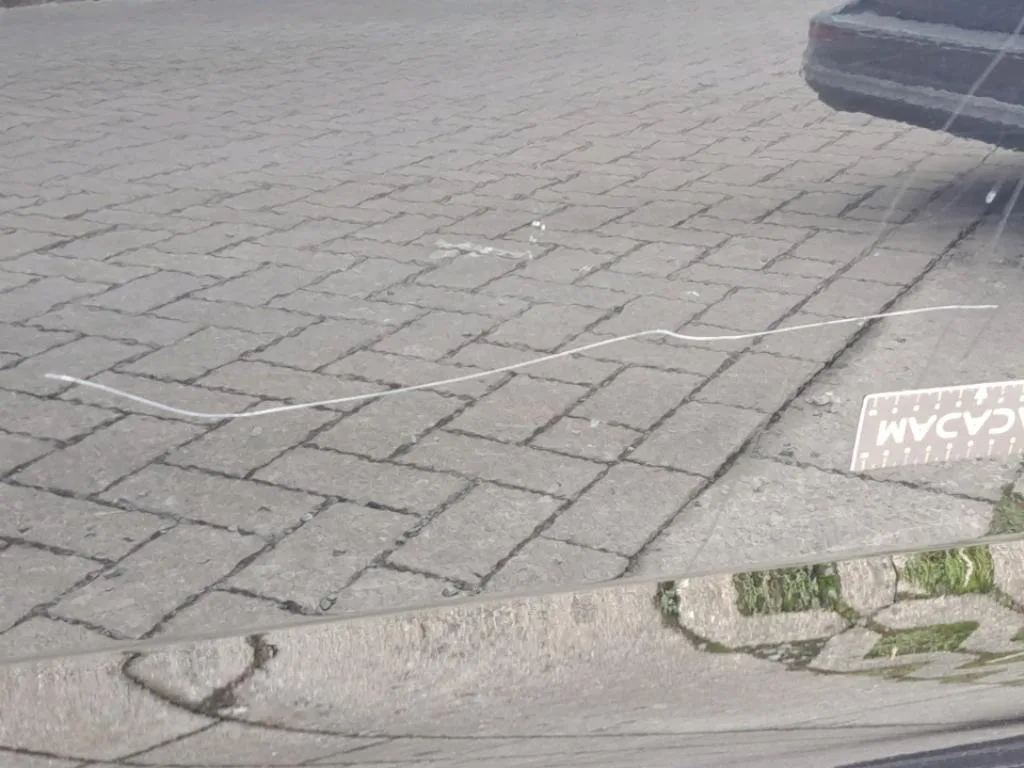 Vastgestelde schade