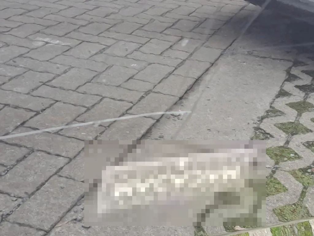 Vastgestelde schade