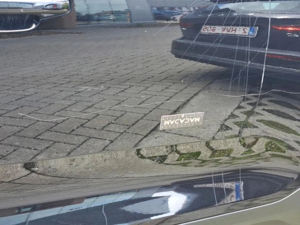 Vastgestelde schade