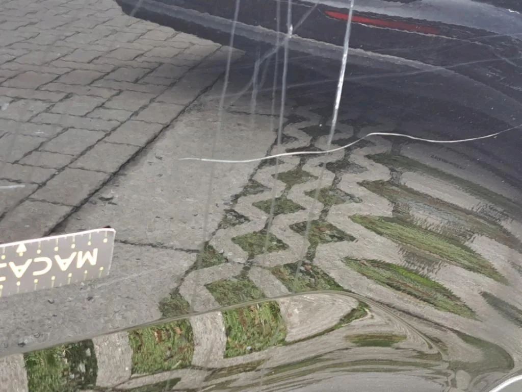 Vastgestelde schade