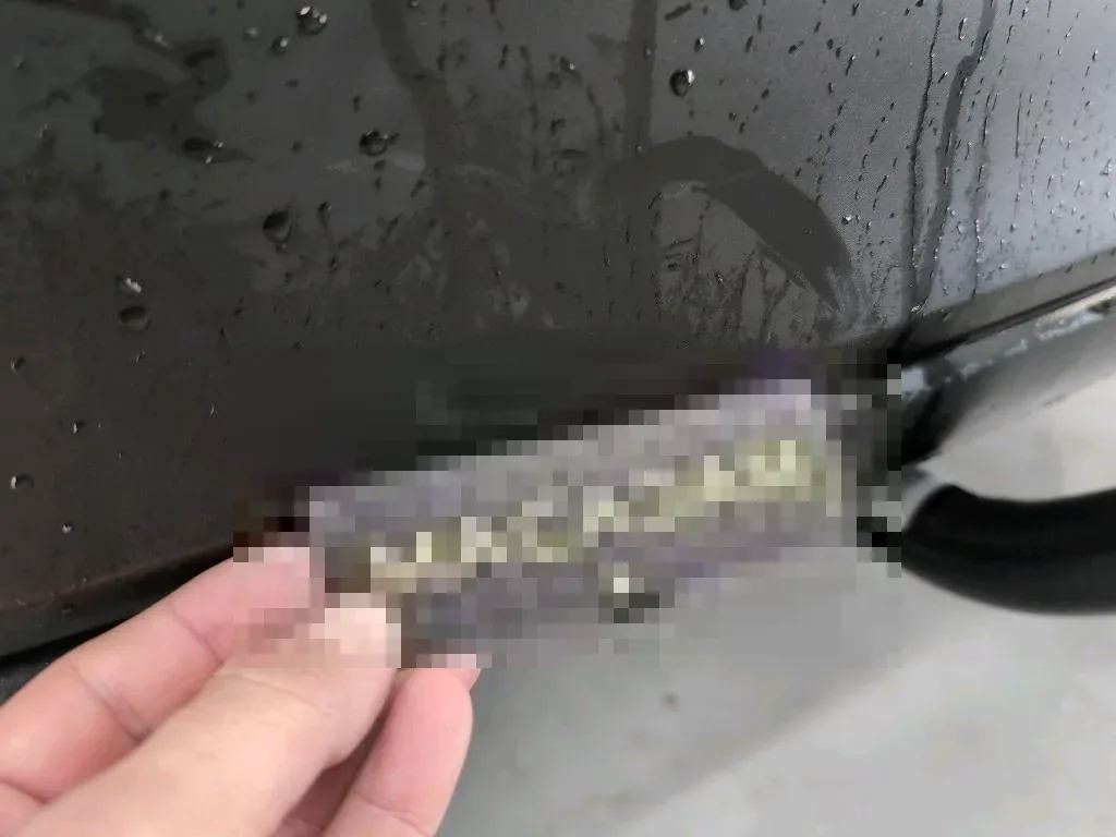 Reported damage