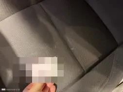 Vastgestelde schade
