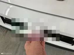 Reported damage
