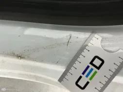 Reported damage