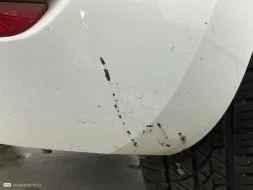 Reported damage
