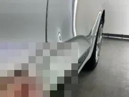 Vastgestelde schade