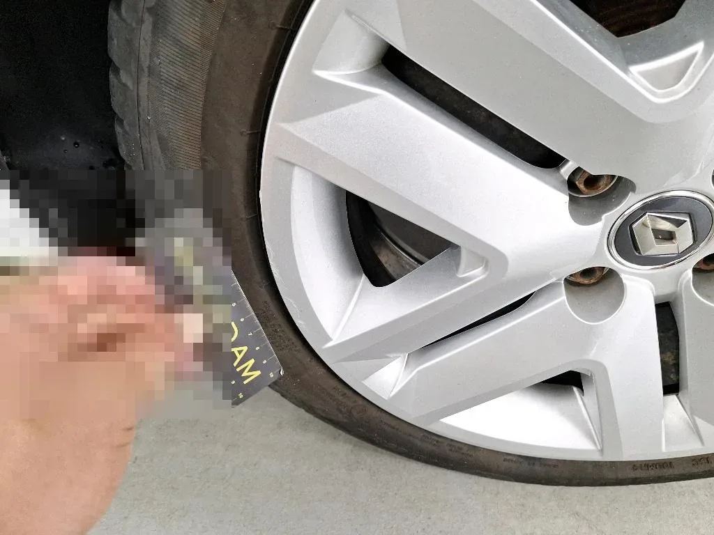Vastgestelde schade