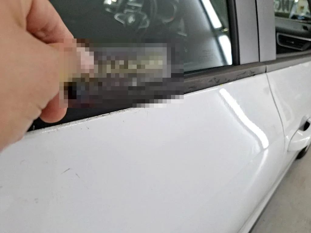 Vastgestelde schade