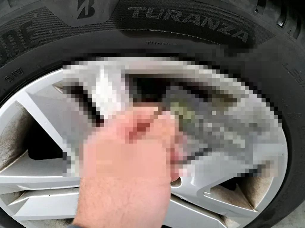 Reported damage