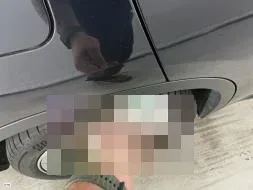 Vastgestelde schade