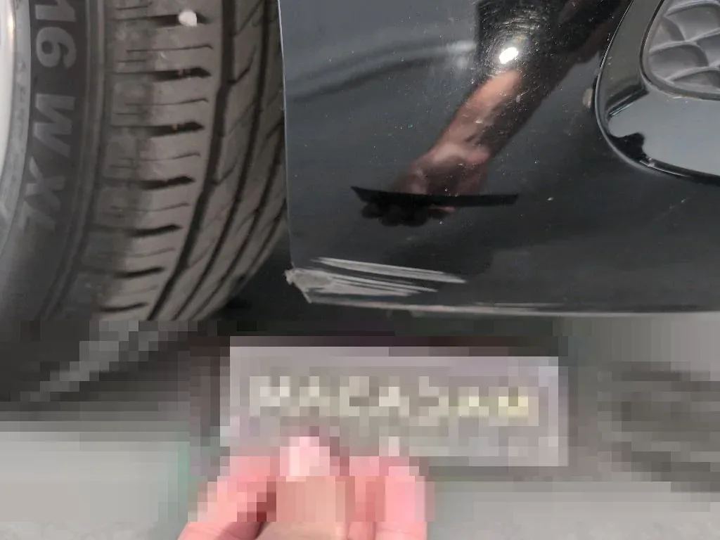 Vastgestelde schade