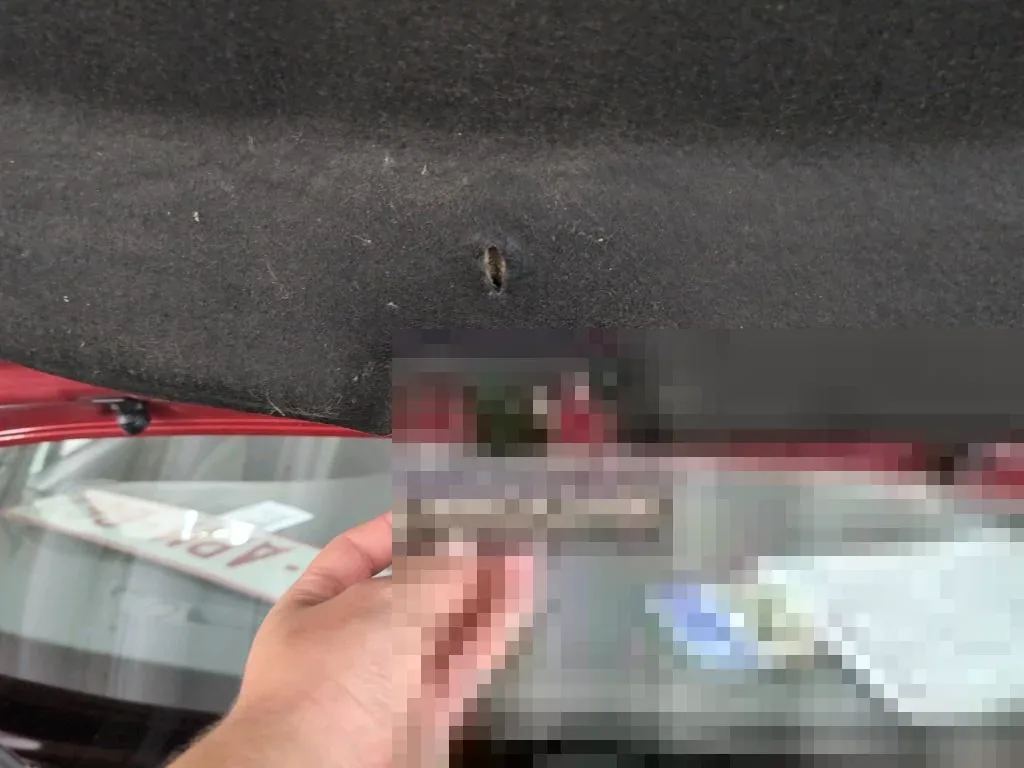 Reported damage
